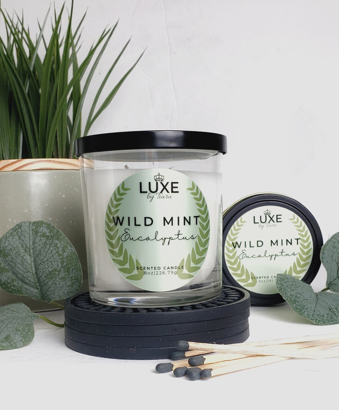 Wild Mint & Eucalyptus