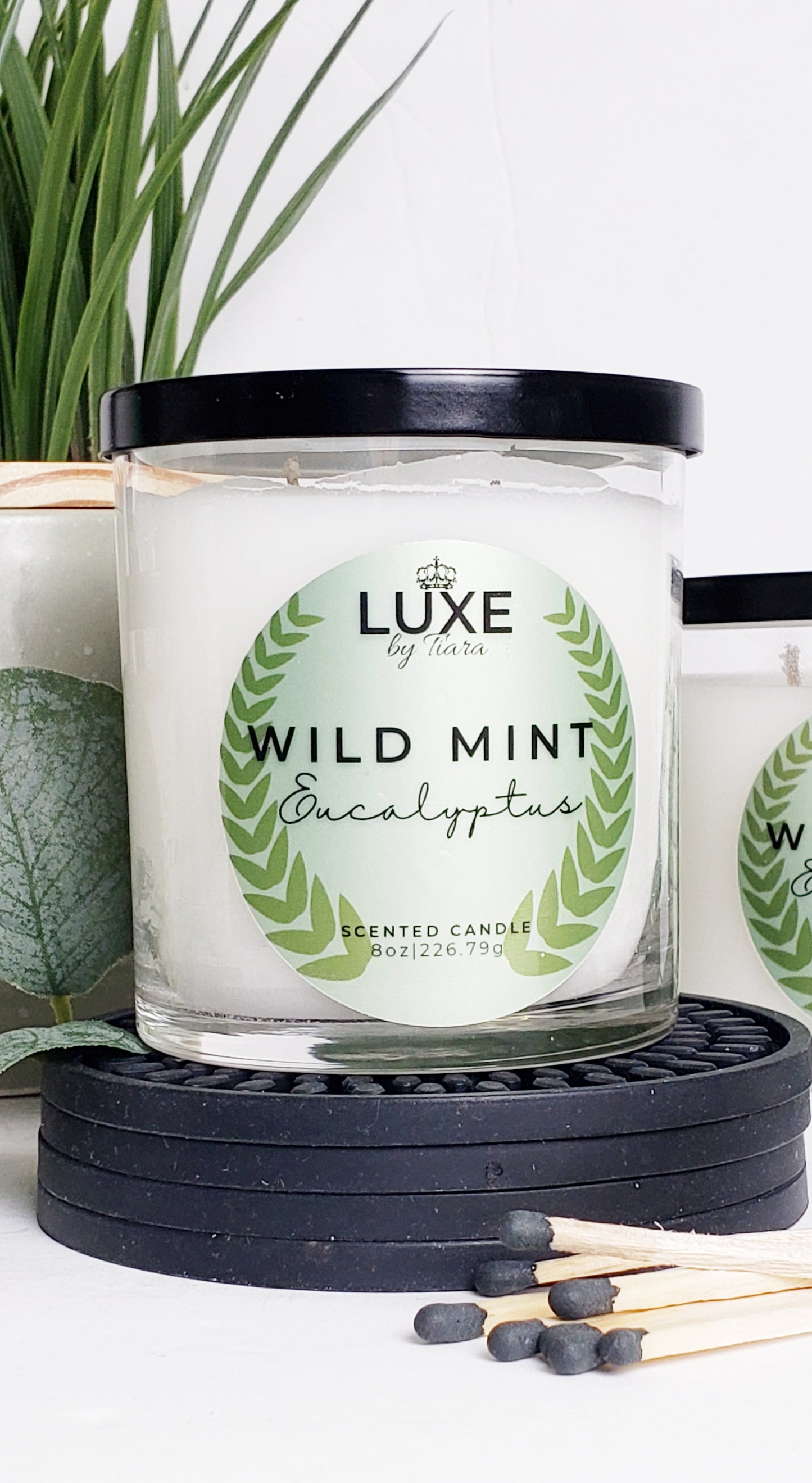 Wild Mint & Eucalyptus